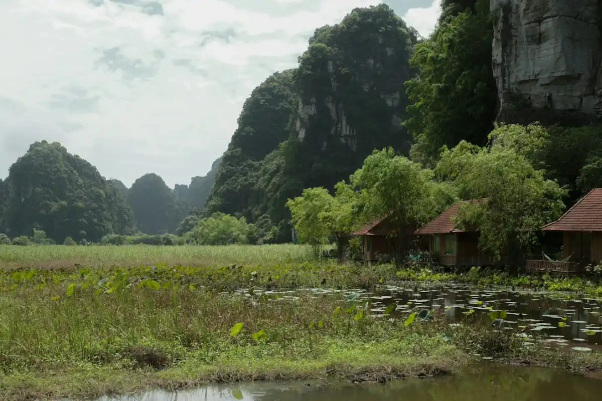 Bungalow mái ngói bên ruộng sen, sau lưng là núi đá